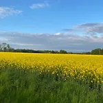 An Der Ostsee * Vaisi