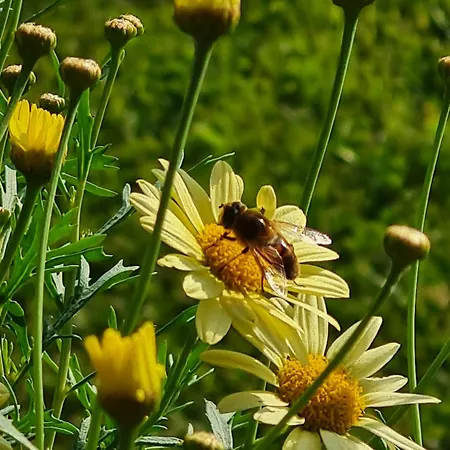Holiday home An Der Ostsee *