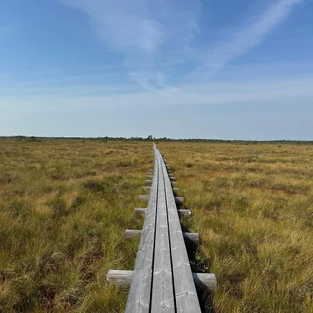 An Der Ostsee 度假居 Vaisi