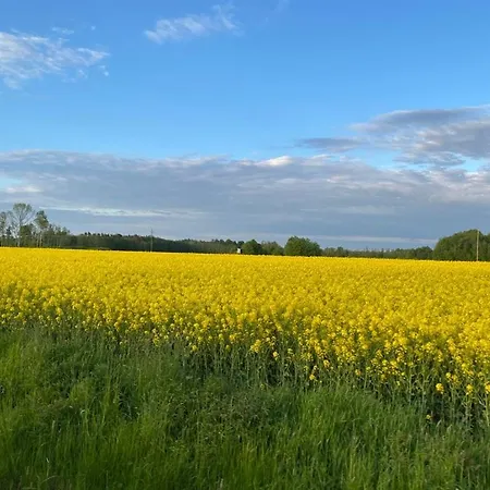 Auszeit In Vaisi Mit Wald & Meer * Vaisi