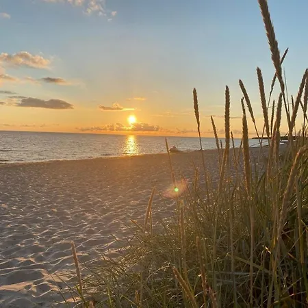 An Der Ostsee Vaisi