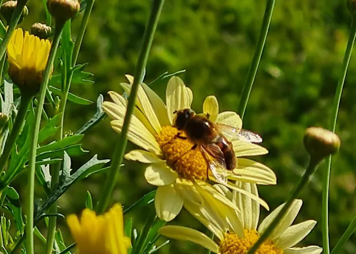 Σπίτι διακοπών An Der Ostsee *