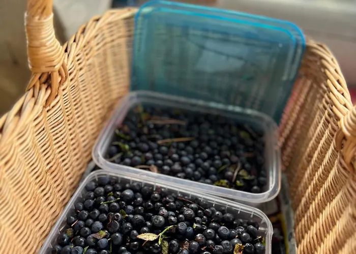 An Der Ostsee Σπίτι διακοπών *