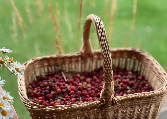 An Der Ostsee Σπίτι διακοπών Vaisi