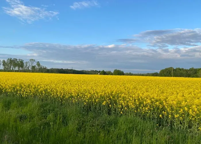 An Der Ostsee * Vaisi